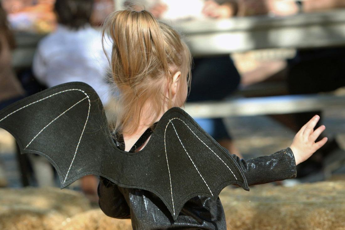 A little bat